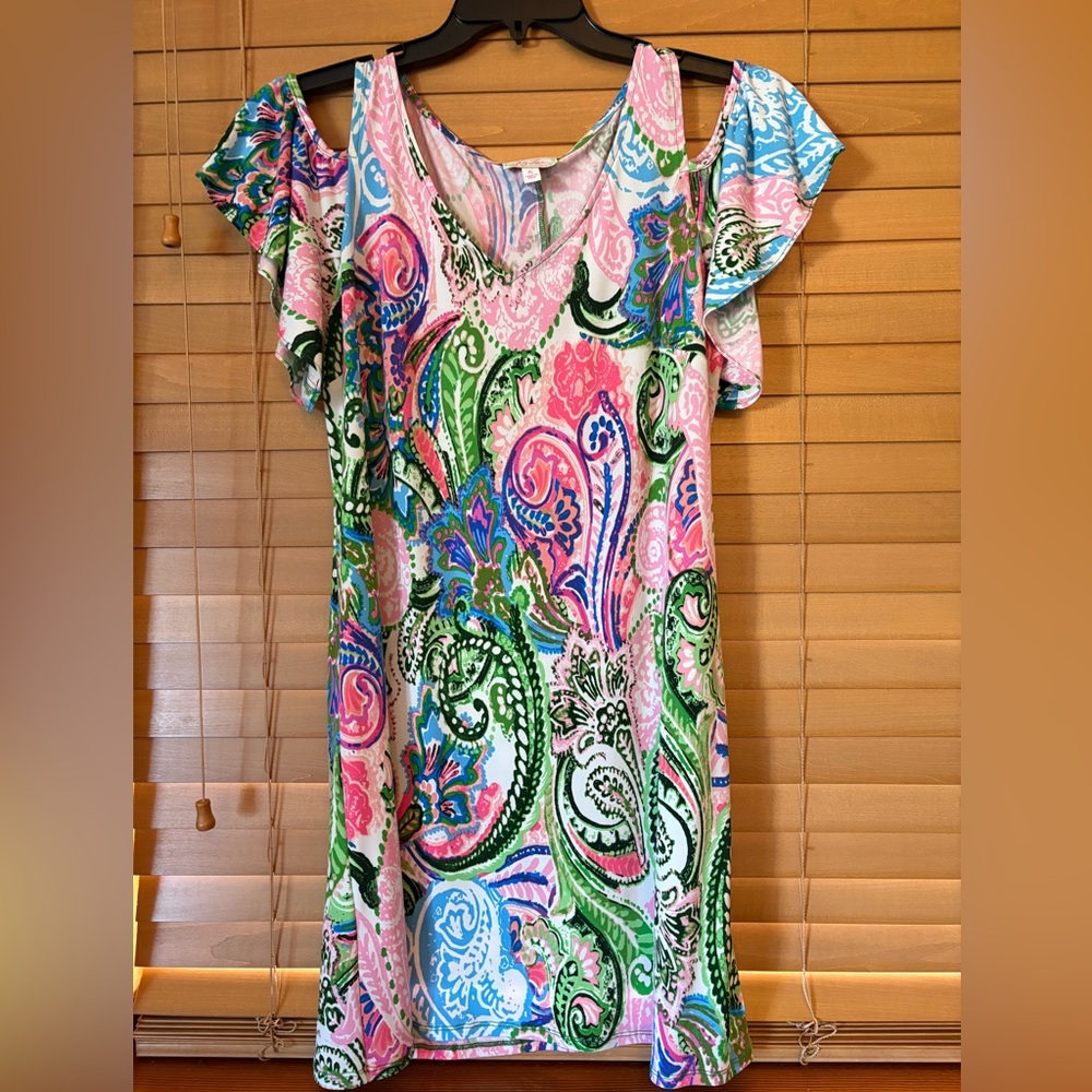 Ivy Jane Pretty & Colorful Paisley Dress. Size Petite Large